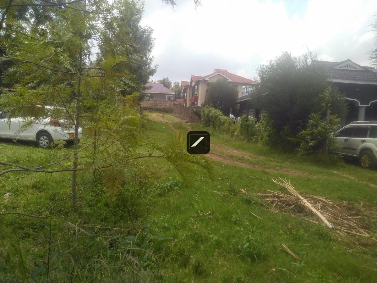 imgi_11_9e6eb4b3-03d7-41a5-b172-6171c45362e0