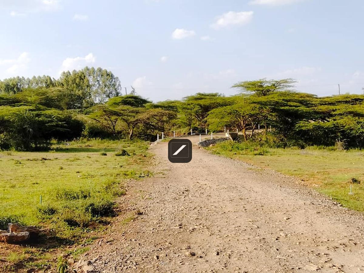 imgi_11_bbc1e47d-2899-49b7-8f09-2796dd21df29