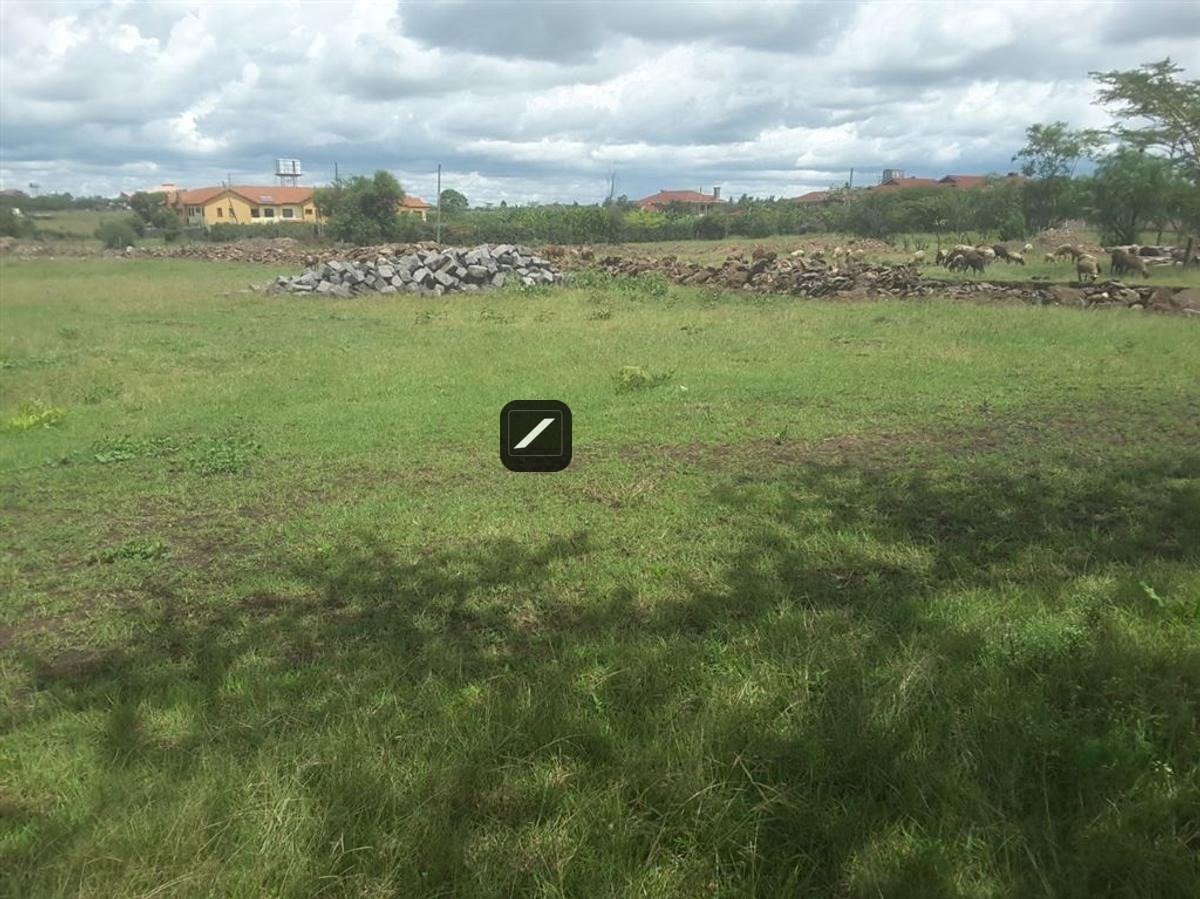 imgi_11_bf7f5768-145c-49df-8ab3-c9e7cc5503cb