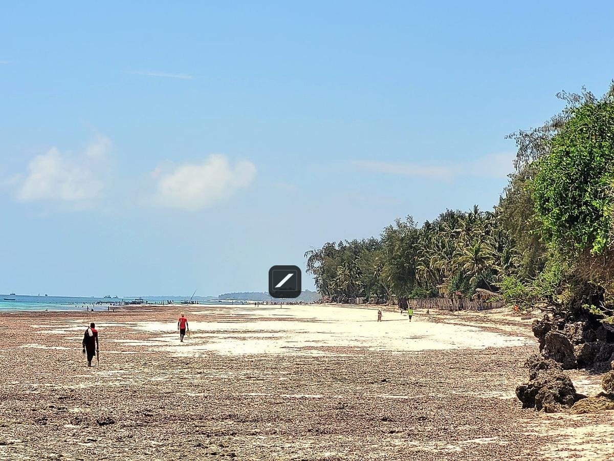 imgi_11_eb884ae6-017f-456c-9463-50d6c45fecb4