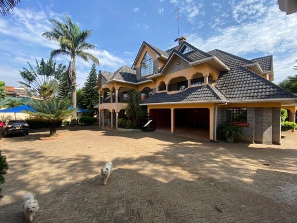 Imgi 11 f6115e26 b2f6 4b08 a336 cf1e41cd9b2f