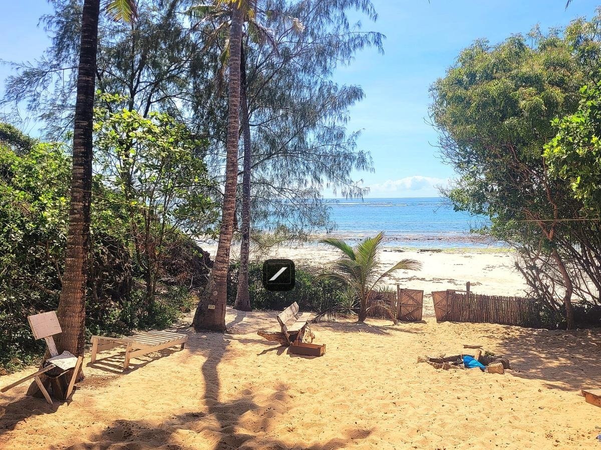 imgi_12_2cdda0ab-5d7b-4d39-ac9d-d7ca3116ee07