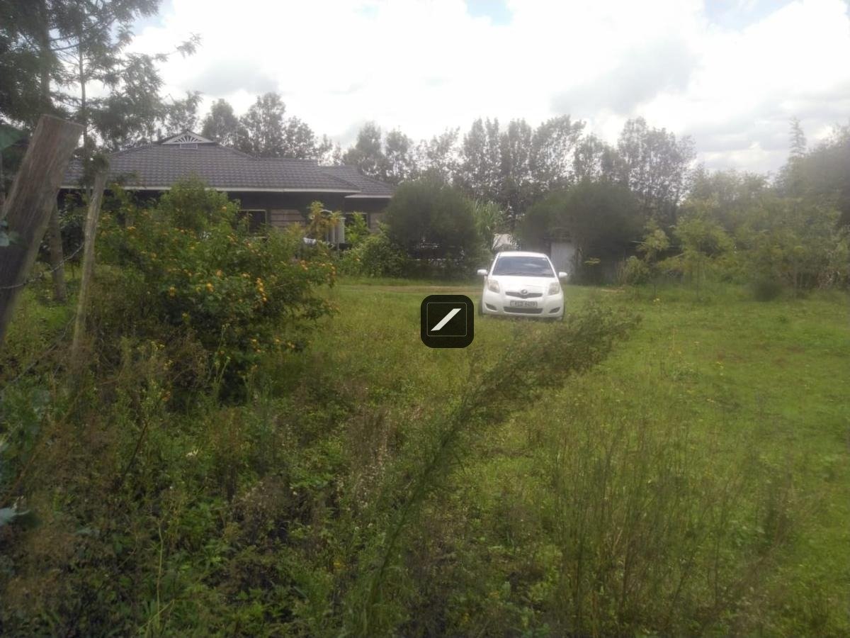 imgi_12_3198a836-7e29-4c80-8ce3-5b6593bad697