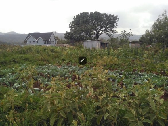 Imgi 12 4e31ed30 30f7 4368 84f9 ce161e2434e3