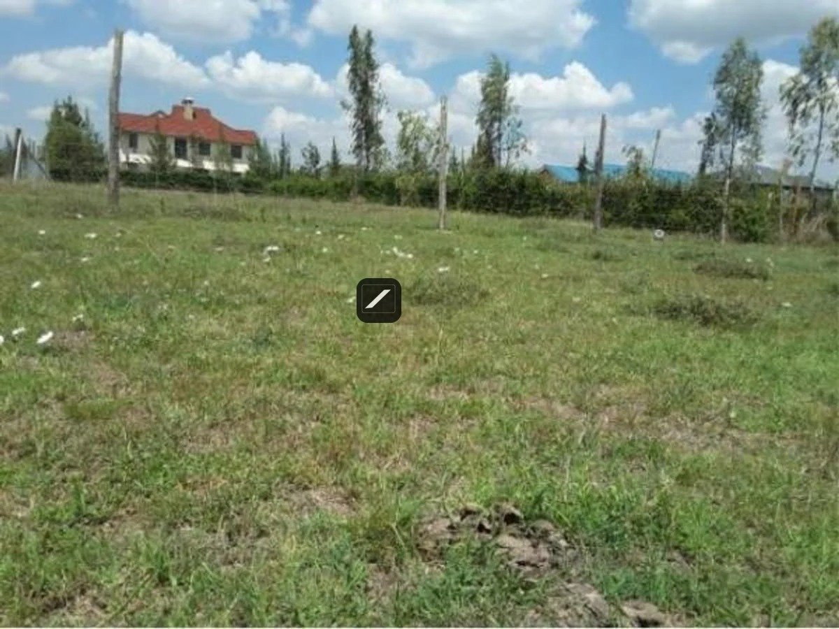 imgi_12_63B6001786F57DB3C2AF4E84BCC58A00