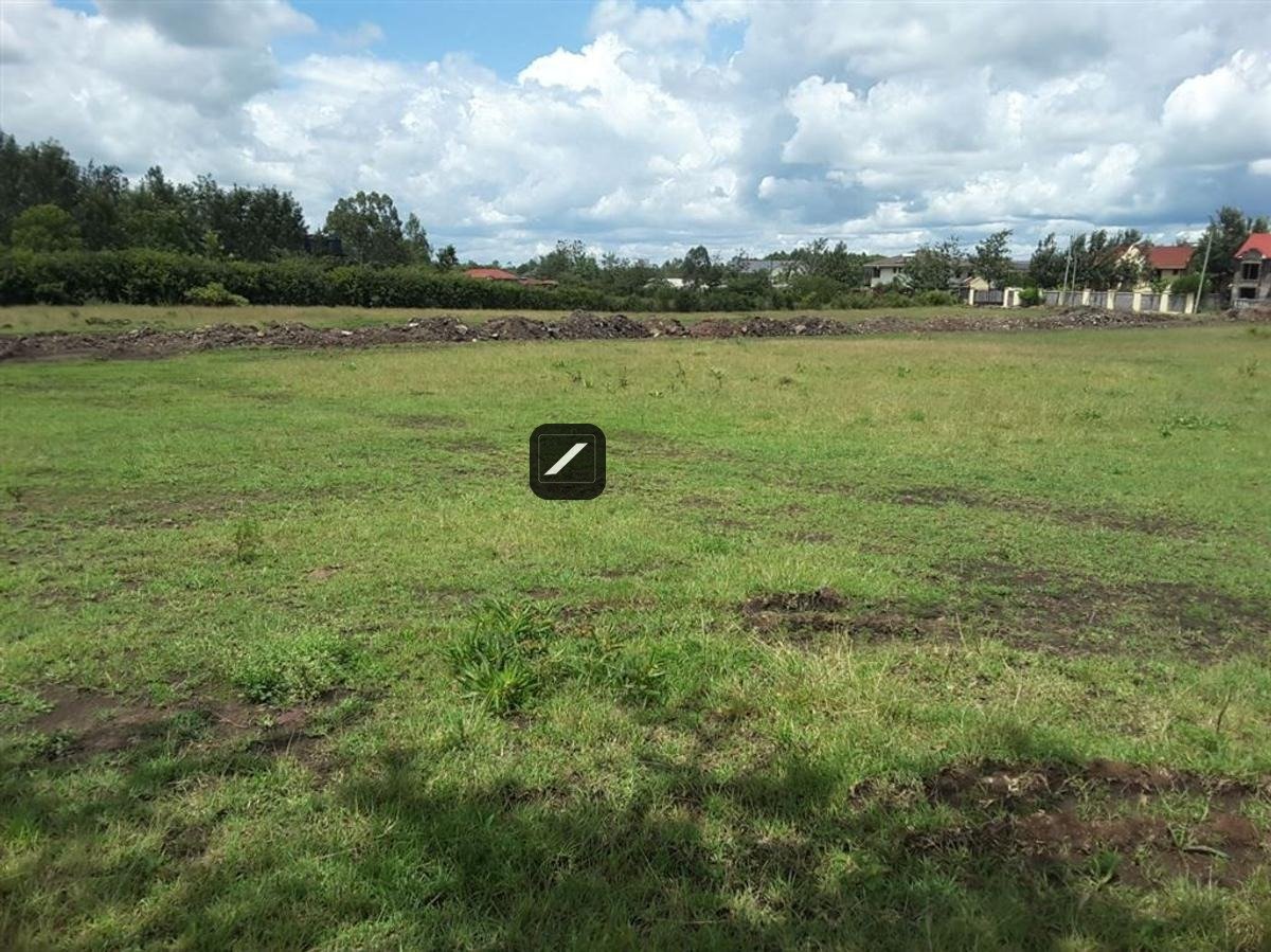 imgi_12_7999323f-0cc2-498d-8180-1e3213f86ef2