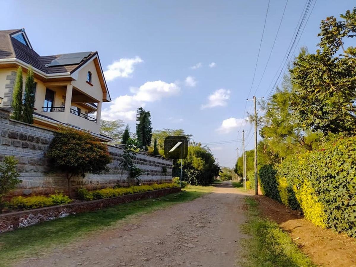 imgi_12_949d802c-cc79-43dd-9bb9-2d4b149698fe