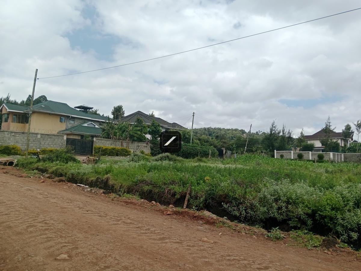 imgi_13_0d720e80-0539-45a2-a051-e138039b902d