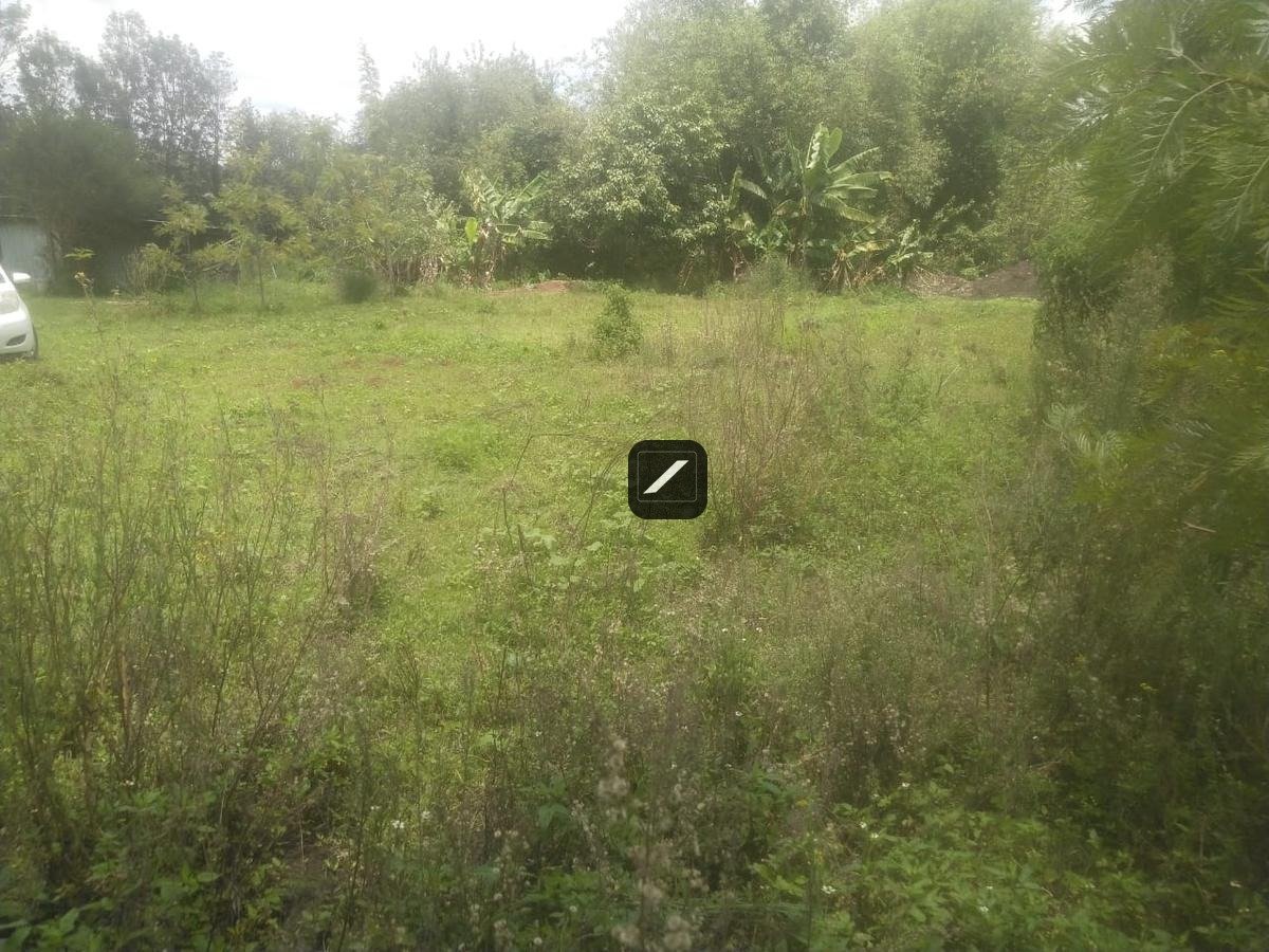 imgi_13_167228bc-a2c8-443c-ae97-a9e1e5406e80