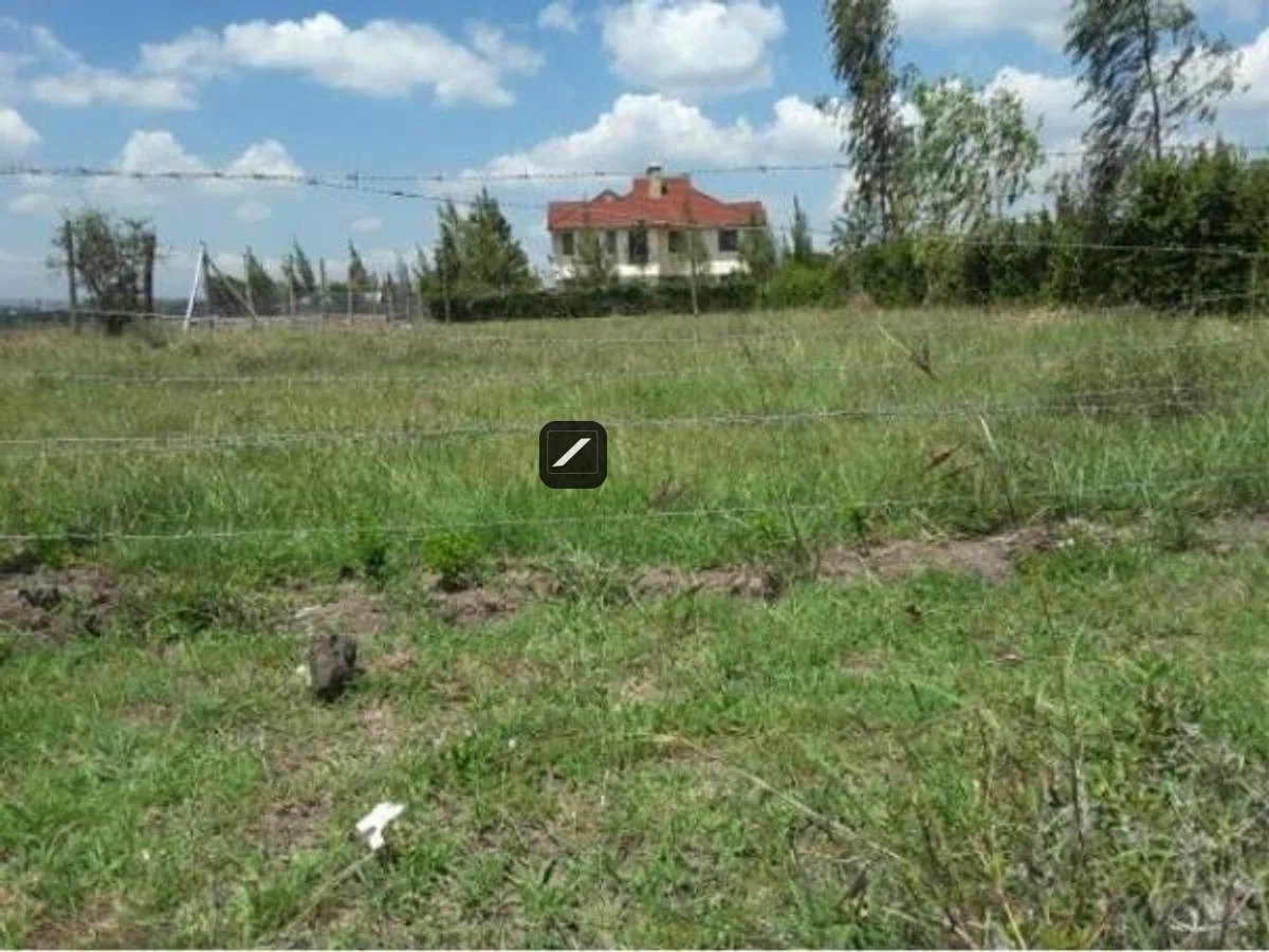 imgi_13_8C3749F453647986CDCF904D2943E649