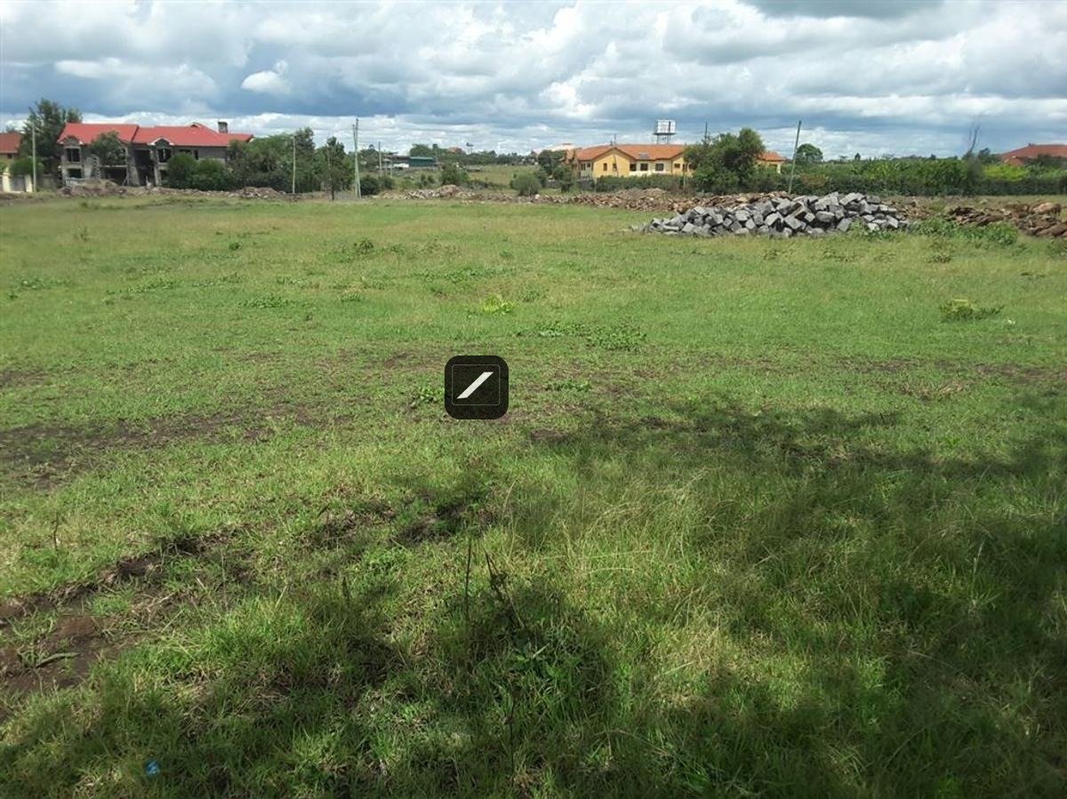 imgi_13_bf486111-1e3c-42c6-b1ee-61facd32dddc