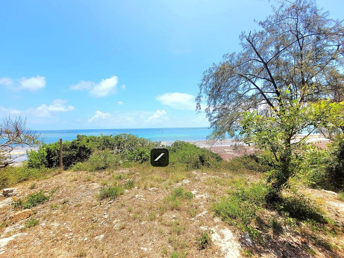 imgi_13_c19774ae-2244-4aeb-9acc-86bfc4a0f5e3