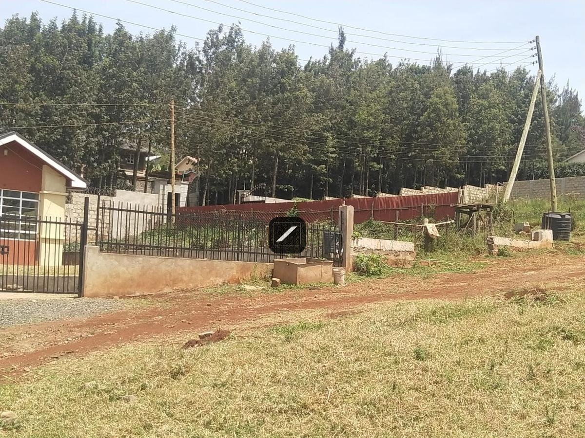 imgi_14_052598cc-0bea-48aa-a9b5-1966983d5455