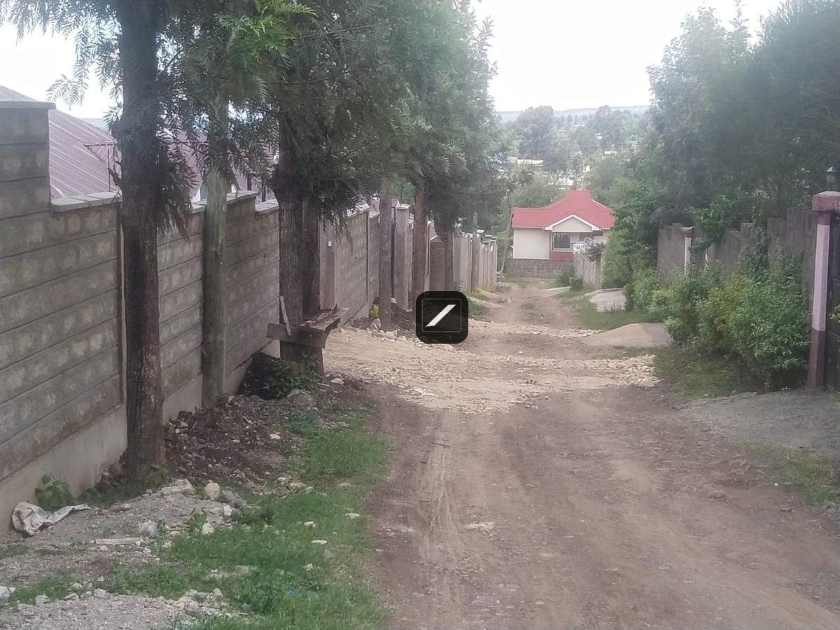 imgi_14_06ea0ada-6a5c-4371-91ce-d333e8072673