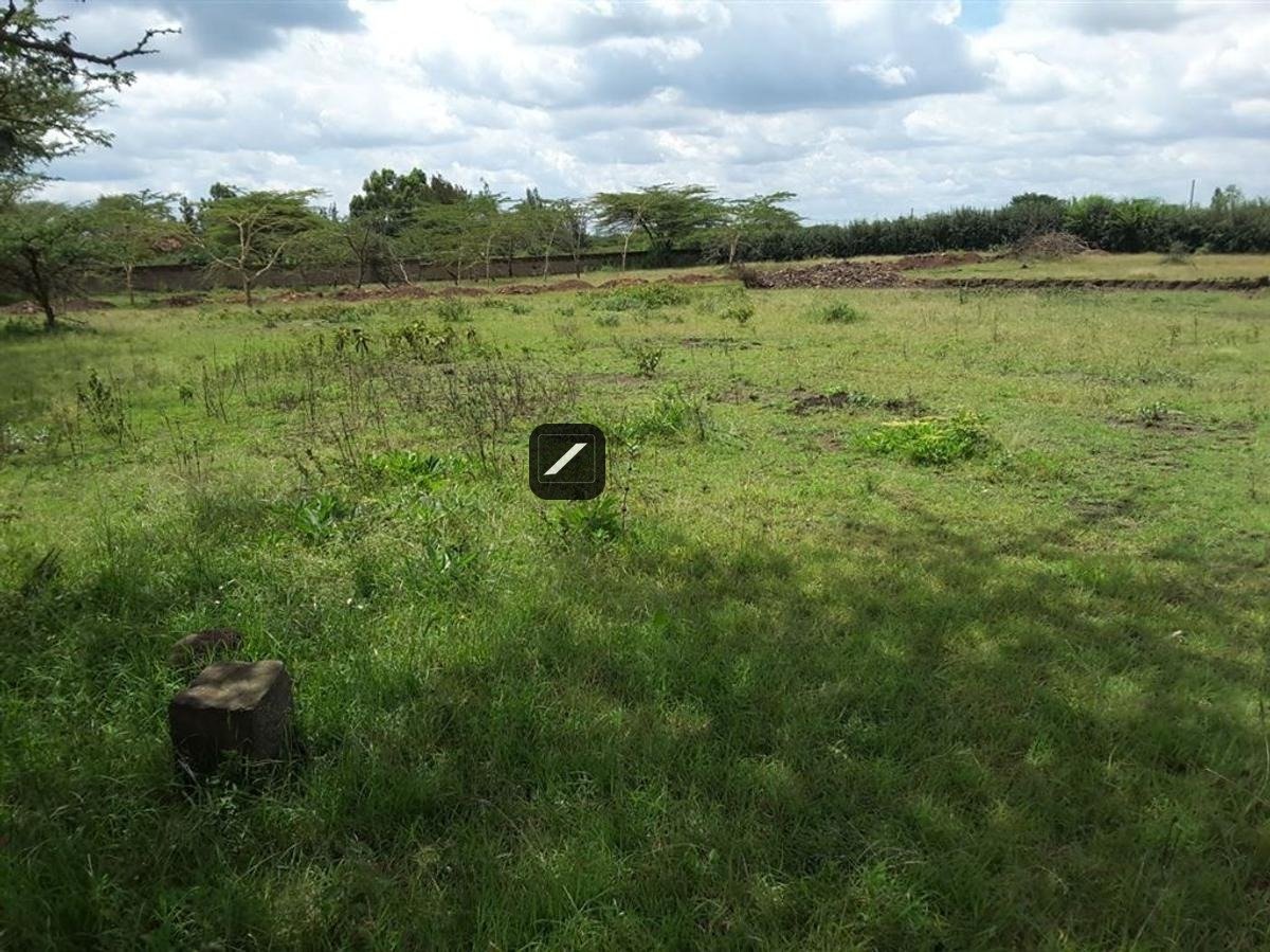 imgi_14_4a2c0a91-2761-4b41-8f31-1efa60ccd4f3