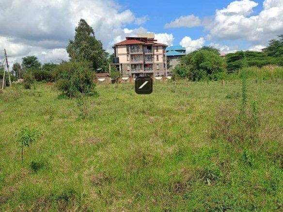 Imgi 14 5551a9ed efa2 4505 82d5 bda13774b300