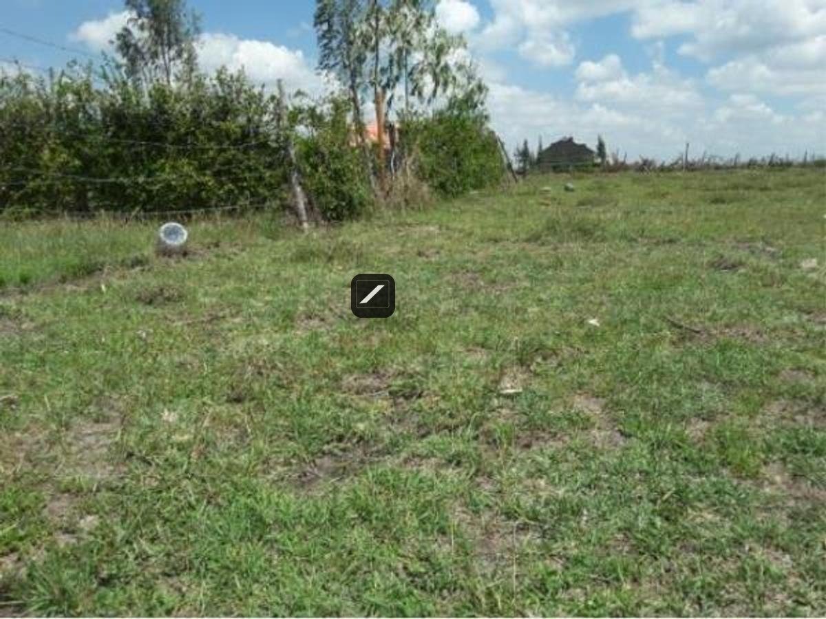 imgi_14_66F6198F0271F4EAD0FEC14E7195CD89