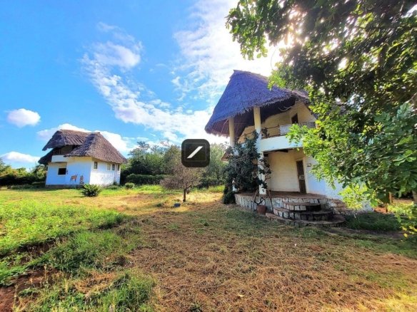 Imgi 14 75c02b96 ae34 4749 b41a 95e58d41104e