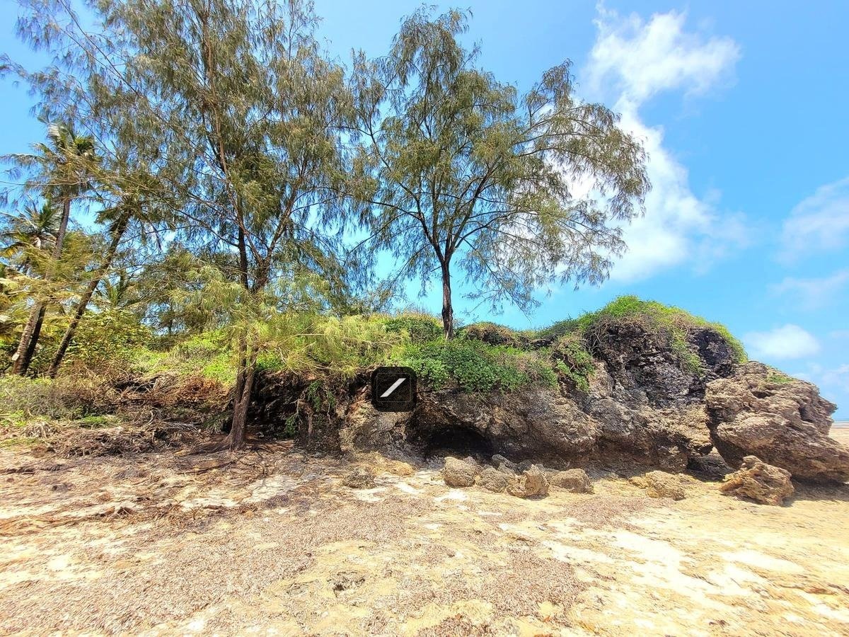 imgi_14_802d0f9f-9d76-4728-9698-890bd1b180e4