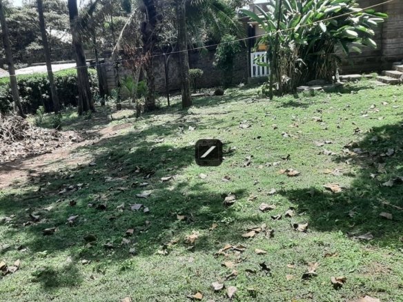 Imgi 14 90071dba 3b44 4ecc aba4 3e95b8f9d13a