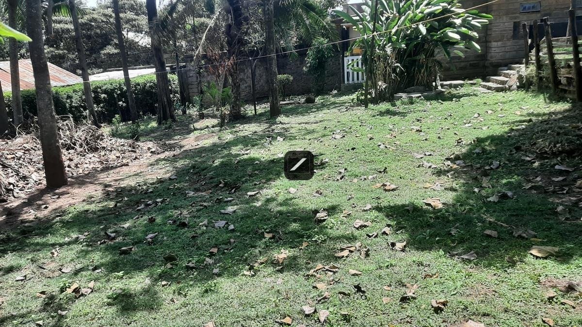 imgi_14_90071dba-3b44-4ecc-aba4-3e95b8f9d13a