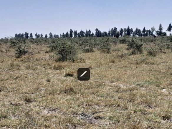 Imgi 14 9a28e01b a40a 48d0 9218 5dd739d16909