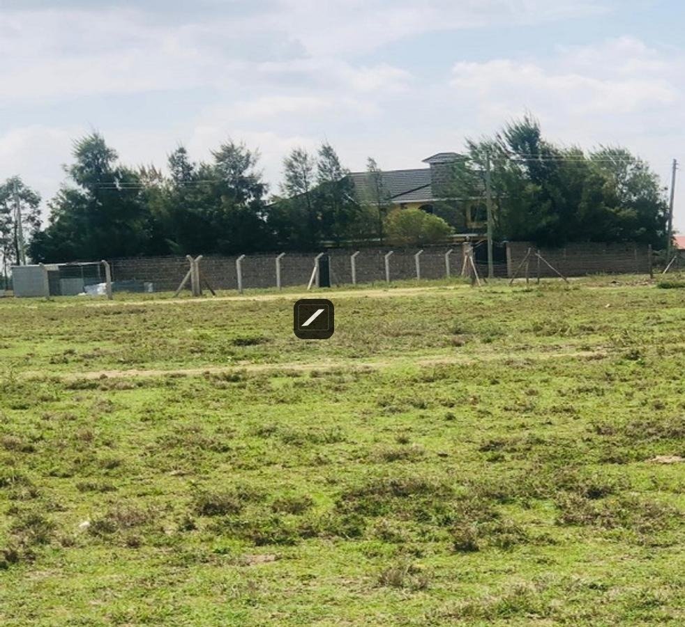 imgi_14_ca00ccbe-014b-4c54-81a6-91cf66373372