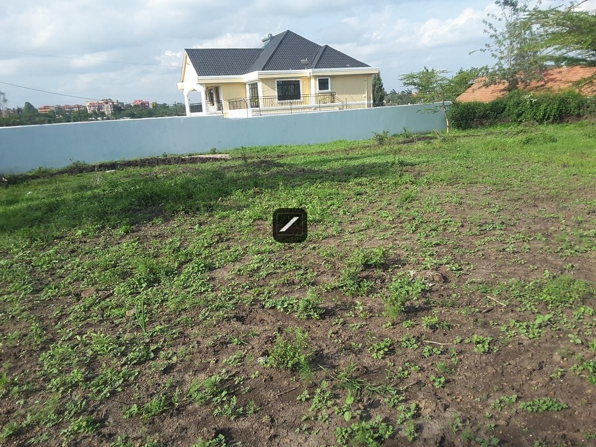 imgi_15_36a068b6-1516-43da-ae21-1c0d0195927d