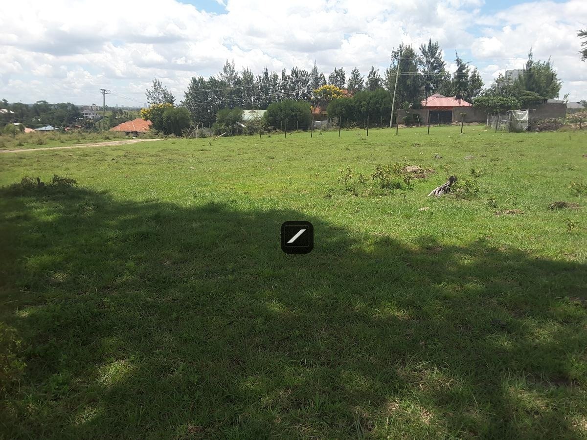 imgi_15_47c4d351-1f86-4ccf-9277-5e1389365462