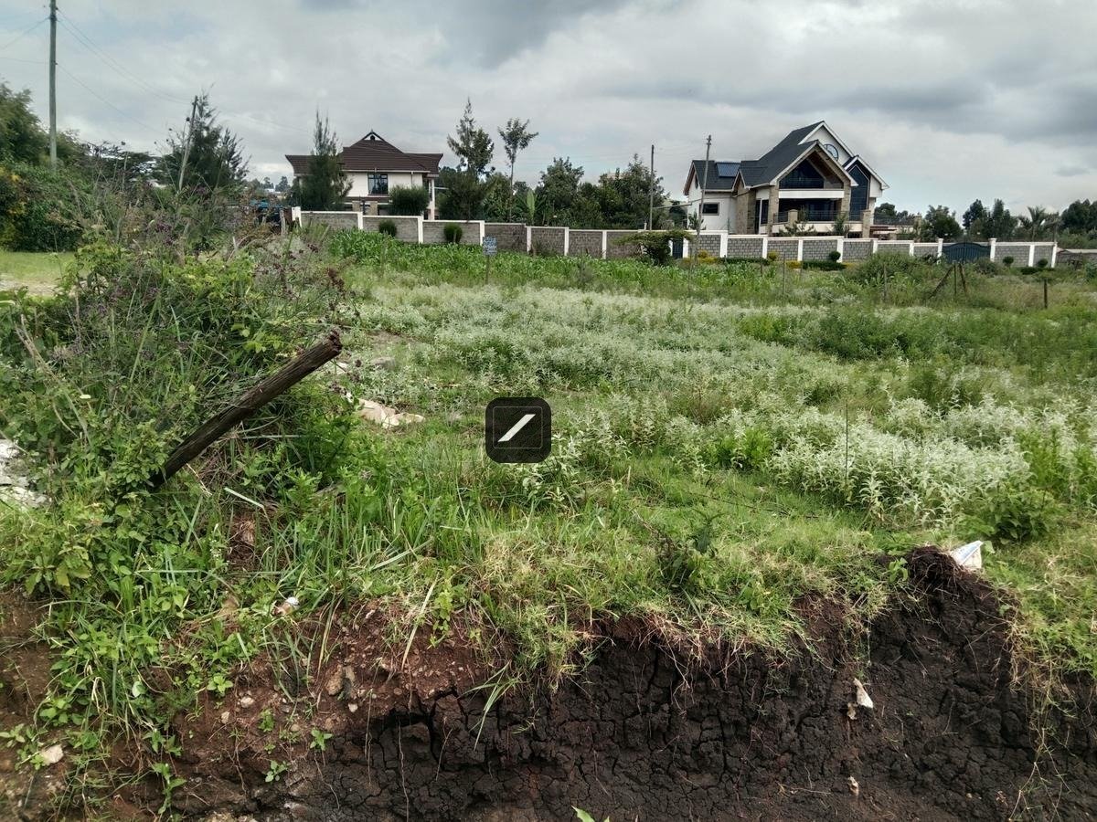 imgi_15_6a299123-057e-4f0b-895e-2d1819cf0d34