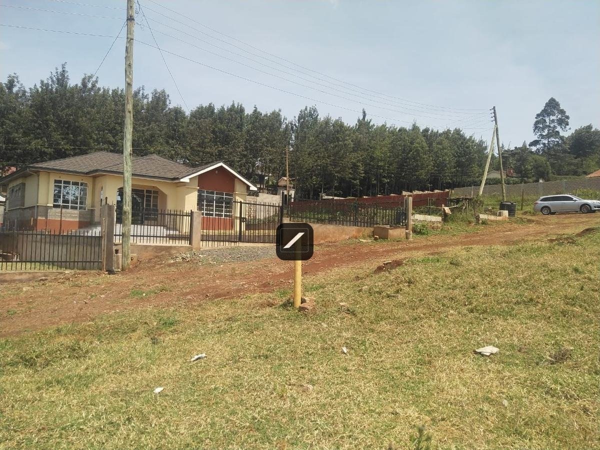 imgi_15_8524109b-aafe-4937-8716-8f13a891d1fd