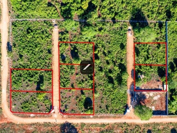 Imgi 15 88807b1c 4b52 4dd2 8df7 f44ad59ee761