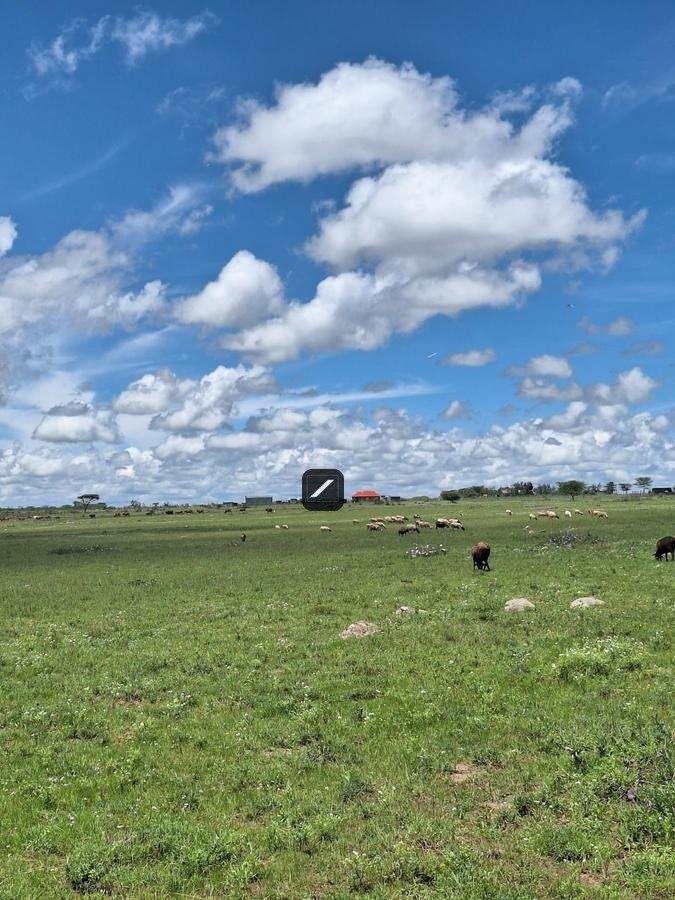 imgi_15_ab917c15-9598-48ee-a8e0-24002a9753db