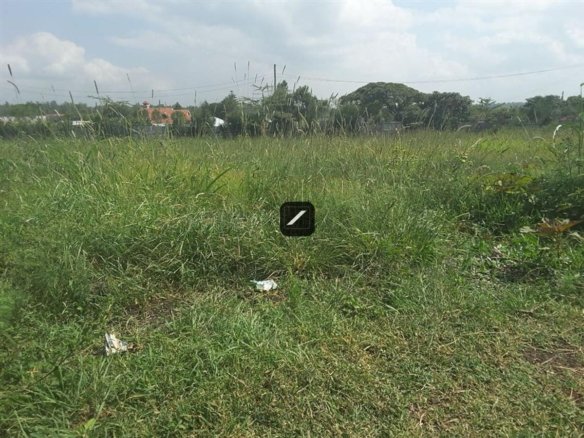 Imgi 15 fca1182a 361d 4710 9f31 a98e125228ab