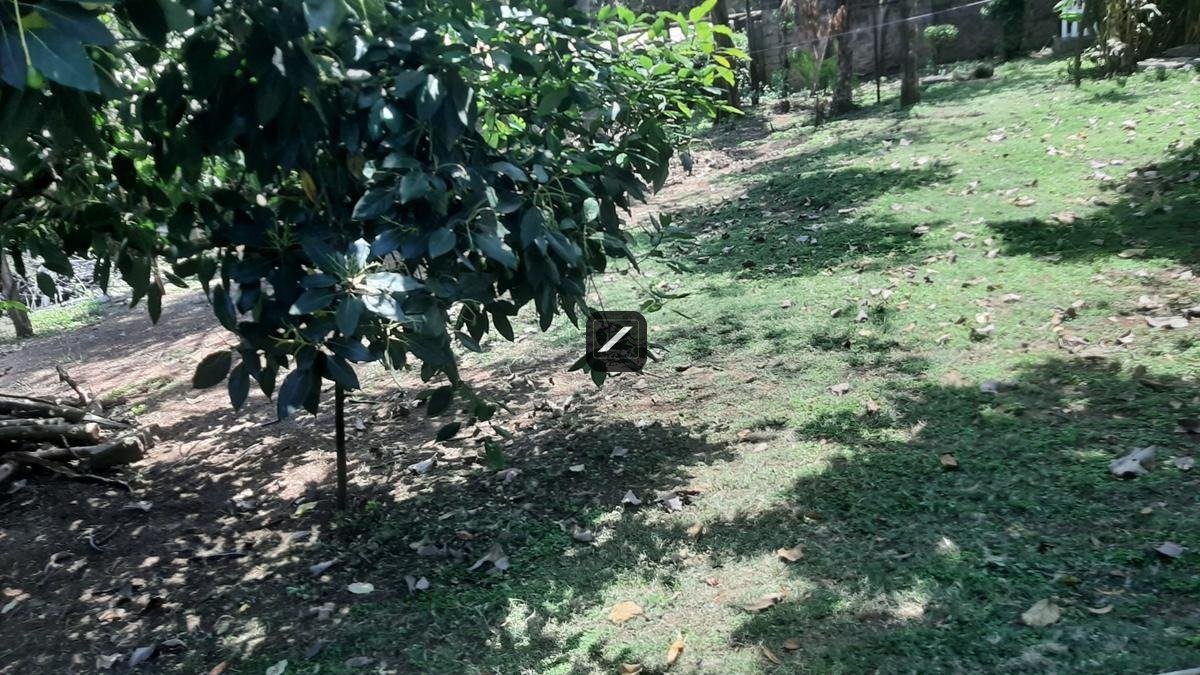 imgi_16_6b7fdc4b-15bf-47e7-8bb1-8fa4521a4023