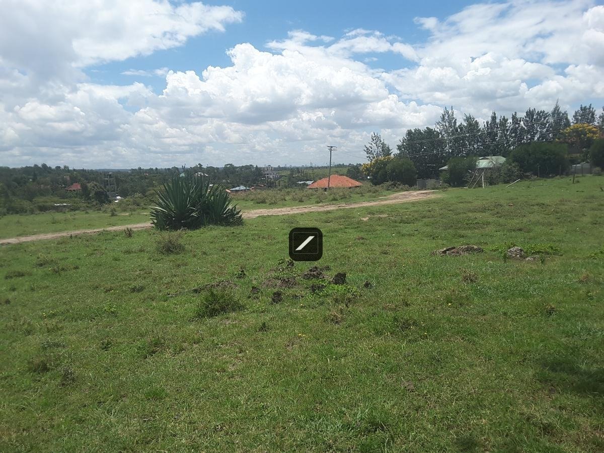 imgi_16_7074eb35-d0b9-4d98-b909-4c0ea4293e93