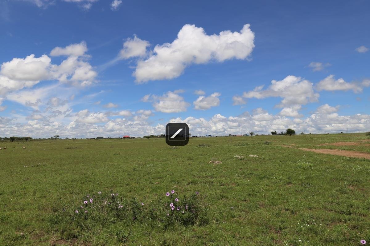 imgi_16_7f7ffa0d-9a5e-45de-8f9e-c4dd19b84b14