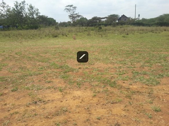 Imgi 16 c1ff5c33 1b65 473b a011 84e24bed7a11