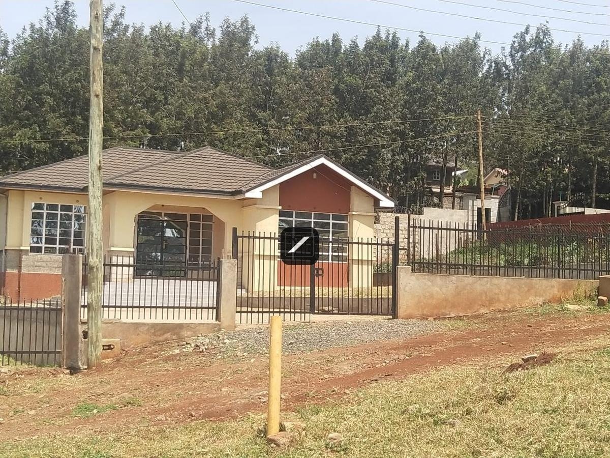 imgi_16_d852764d-dca3-46a5-9077-d4c83f25e07f