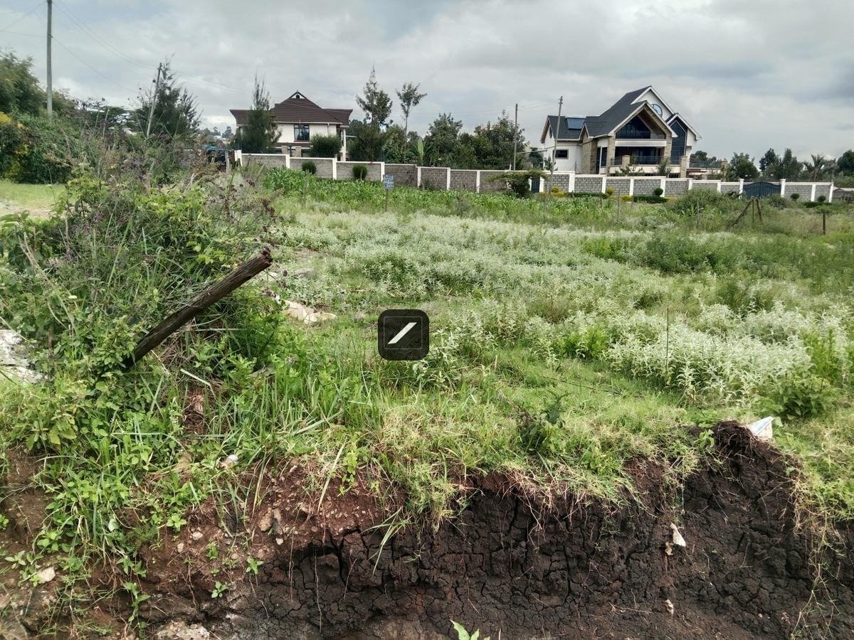 imgi_16_db49ecad-759c-4c4d-96bf-b585d744c420