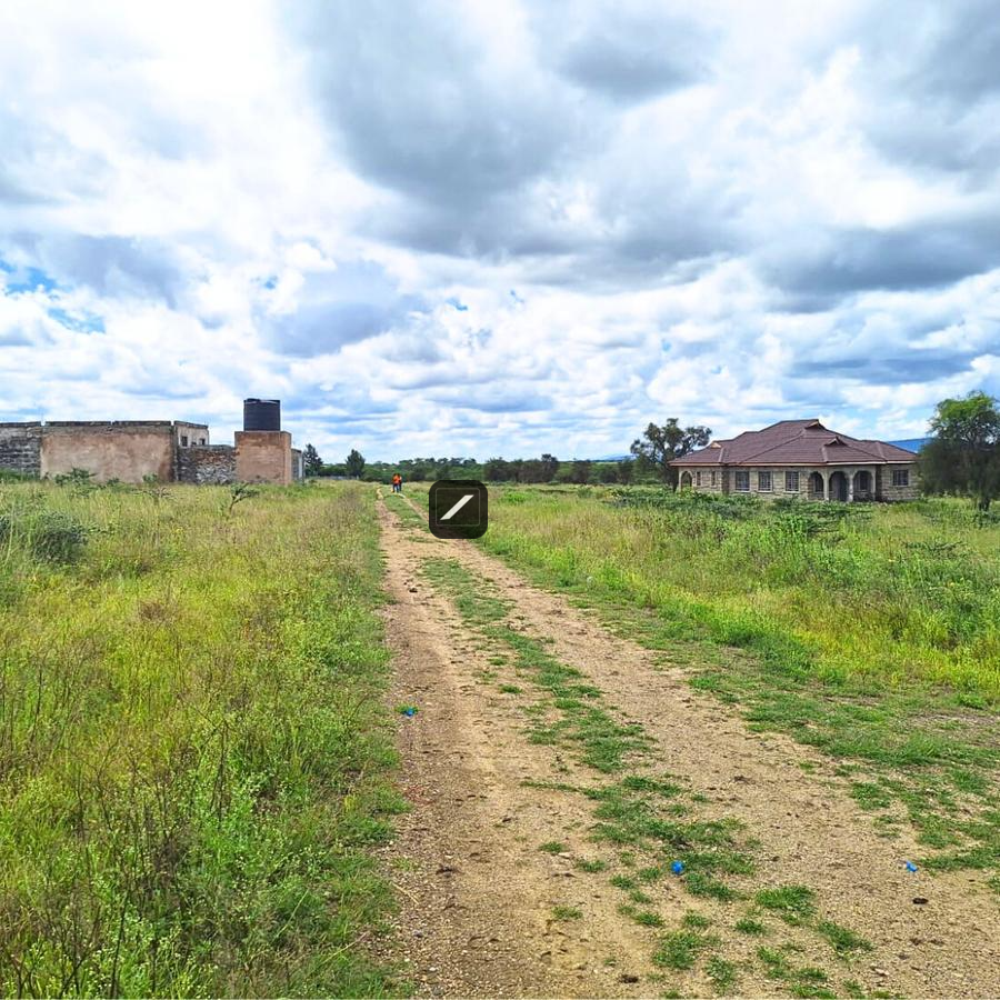 imgi_16_db61c895-1e44-415e-8d9c-5f4cf216b2c0