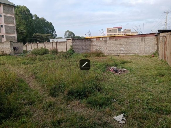 Imgi 16 f94a9023 d0aa 4579 a75f 2a88d009f402