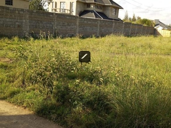 Imgi 17 1d4da03d 2598 44ef 840c df551a2ff1b4