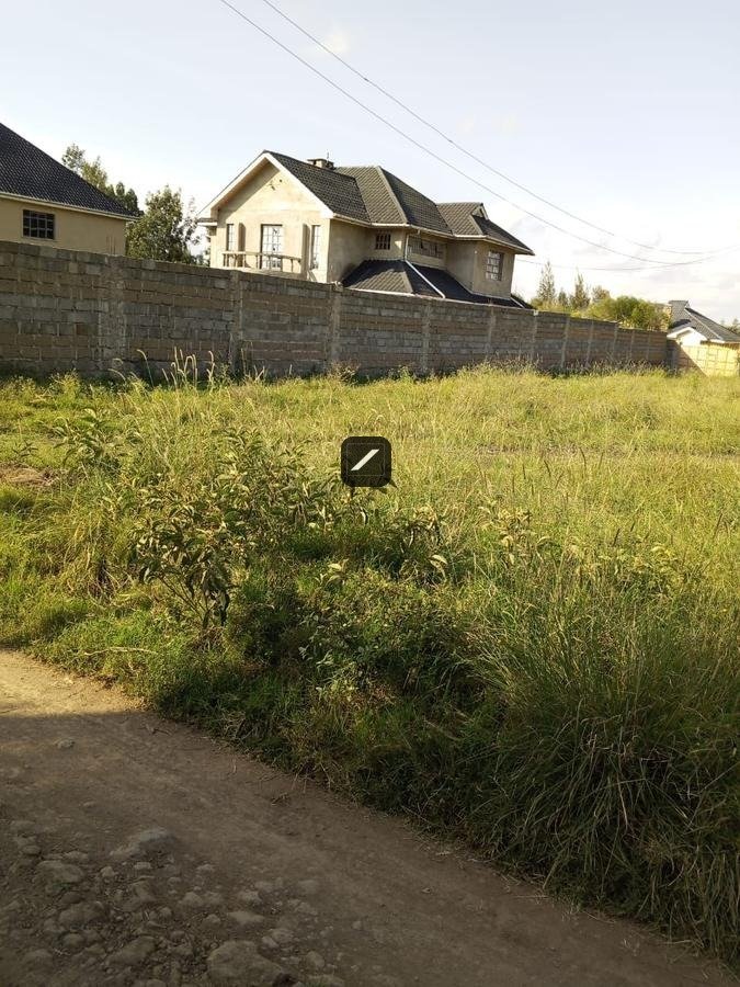 imgi_17_1d4da03d-2598-44ef-840c-df551a2ff1b4