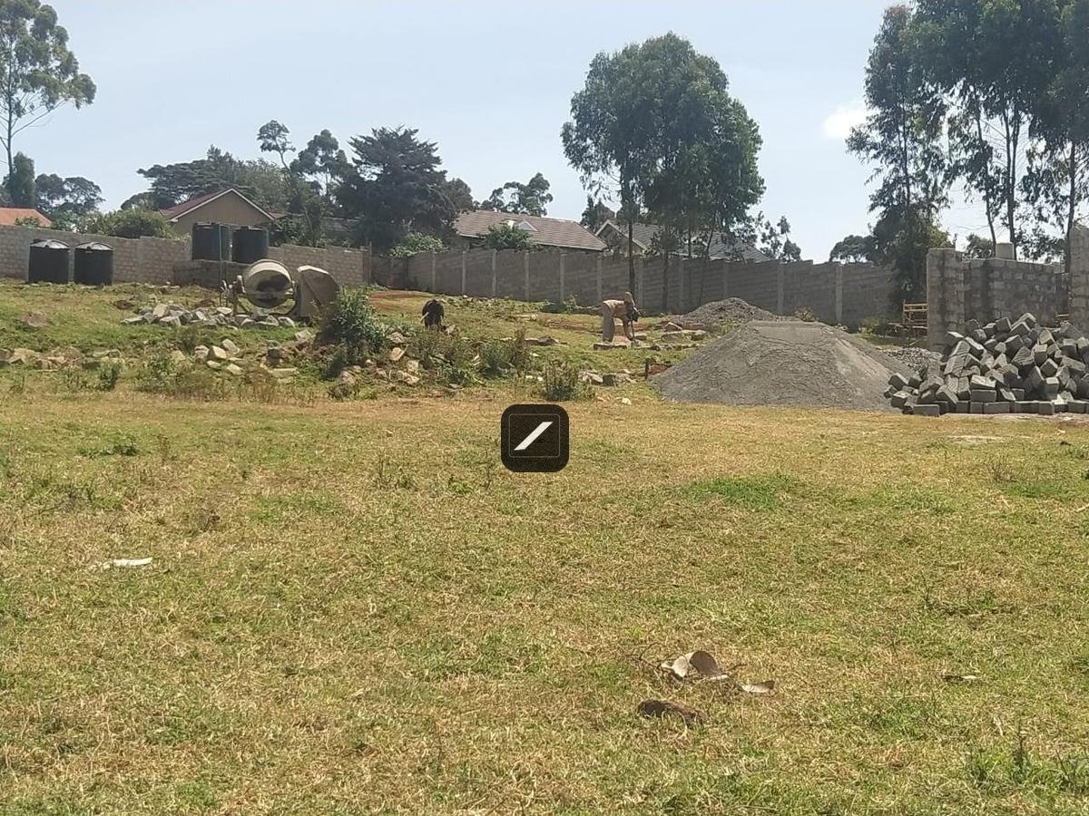 imgi_17_226af3aa-21f8-403f-bdb8-3d7b9a8c6604