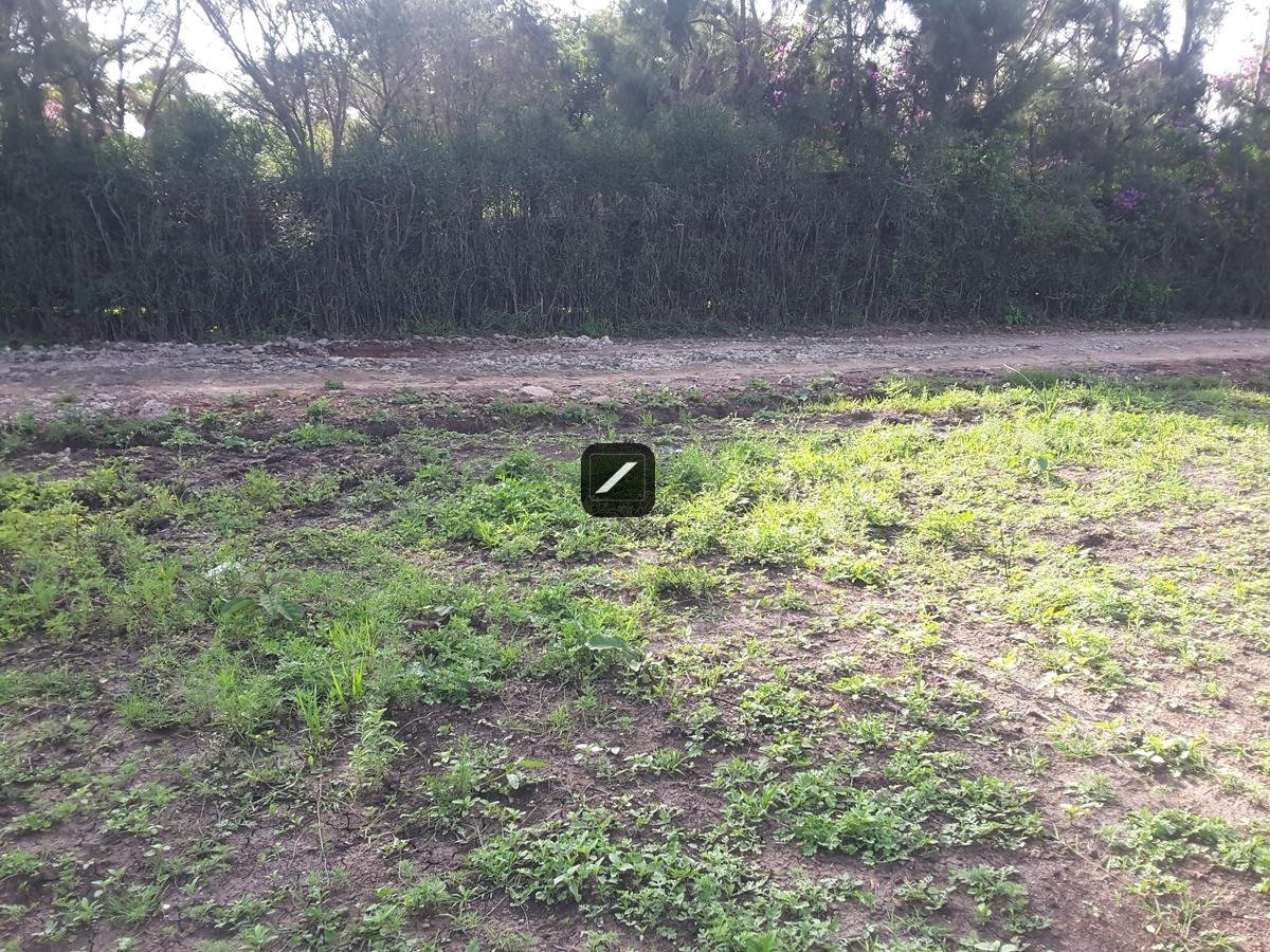 imgi_17_37249f82-8591-44a8-a196-c339993fabd4