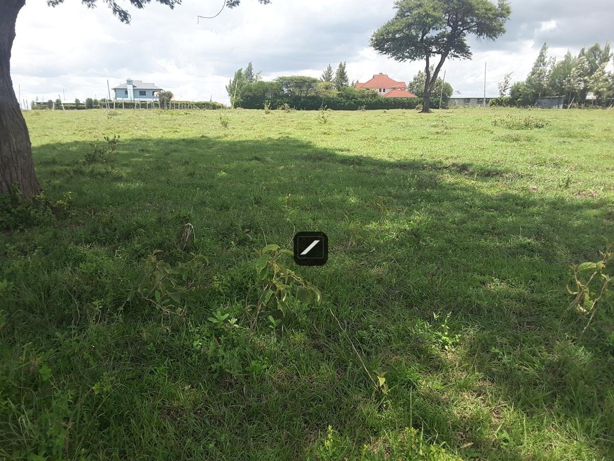 imgi_17_40a79a78-bced-441b-ac29-ee3896765127