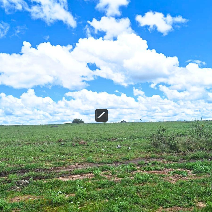 imgi_17_4e91a8f8-6885-45fa-96c9-afaa4dba238f