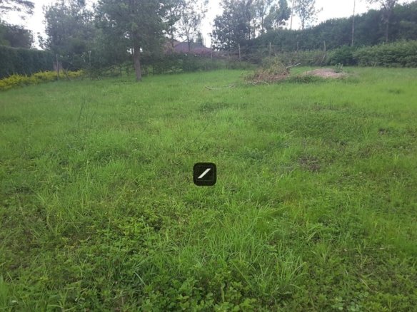 Imgi 17 637c9446 c037 4fd1 8fdd bb1cb516b6a5