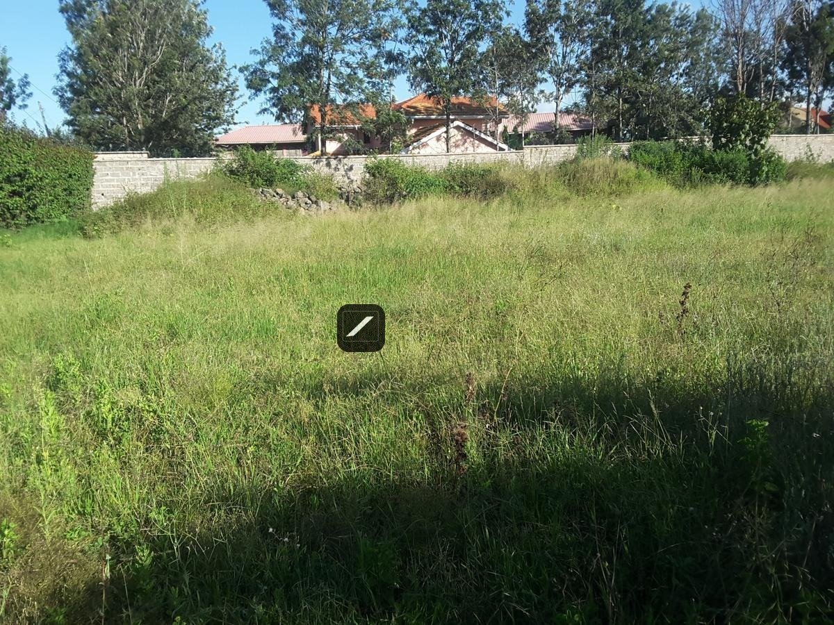 imgi_17_76b65b95-3abe-401a-8744-15a4972fb1f8